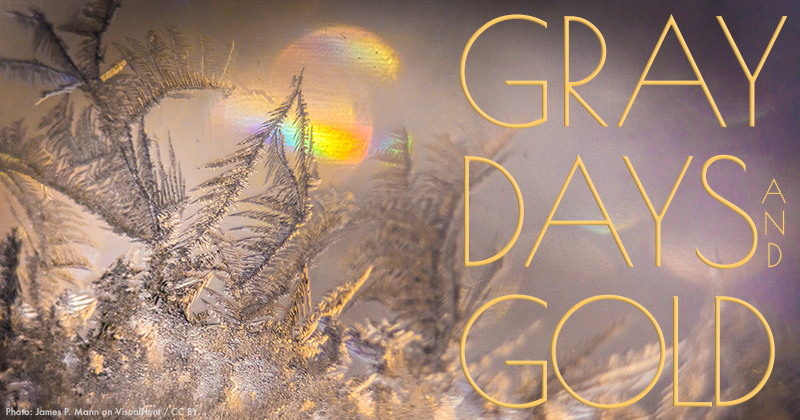 Gray Days and Gold February 2020