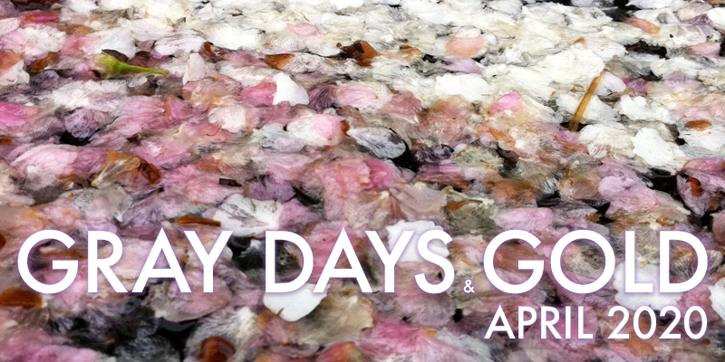 Gray Days and Gold April 2020