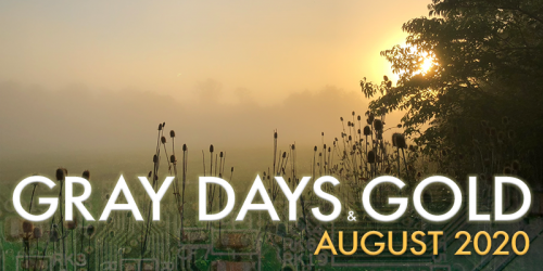 Gray Days and Gold August 2020
