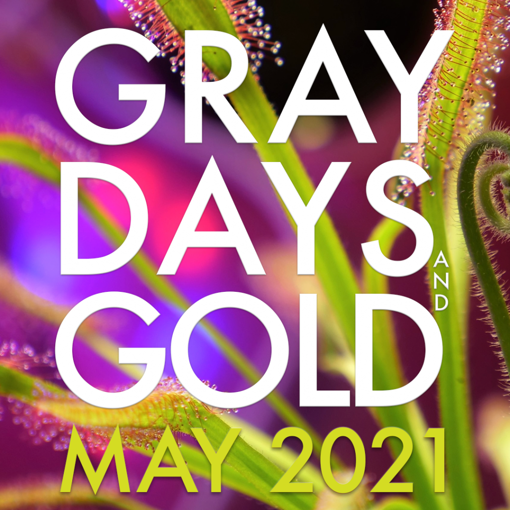 Gray Days and Gold May 2021