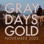 Gray Days and Gold November 2022