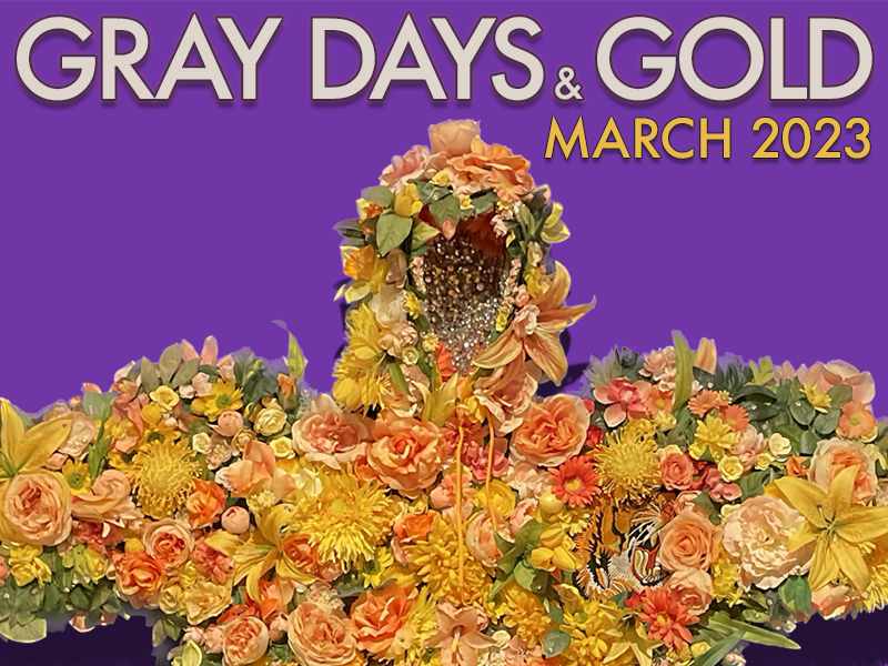 Gray Days and Gold March 2023